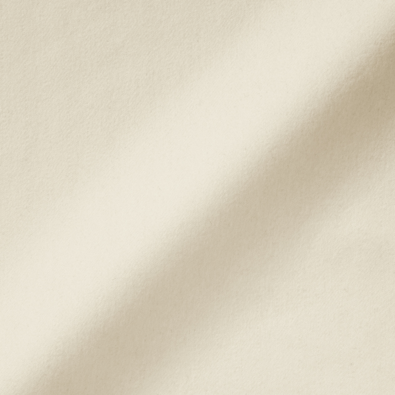 婦人　縦横ストレッチ起毛プルオーバー長袖ブラウス