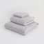 ［ＩＤＥＥ］ＲｅｐｏｓＦａｃｅＴｏｗｅｌＭｏｄｅｒｎＧｒｅｙ