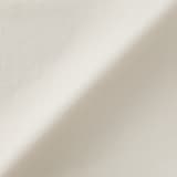 婦人　風を通す　フレンチスリーブブラウス