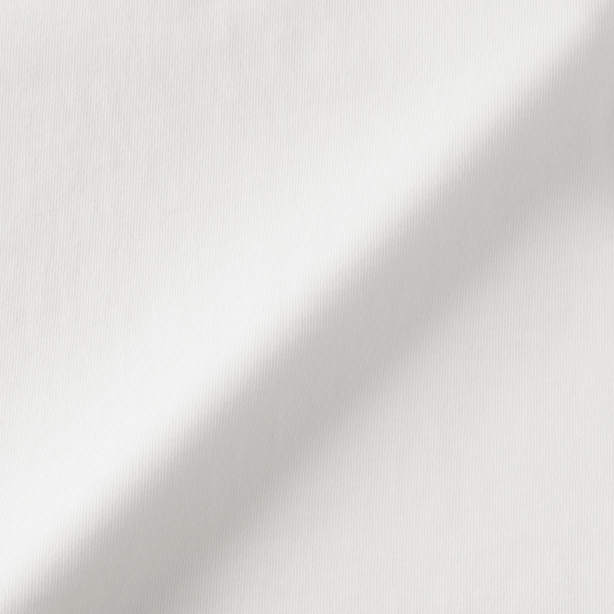 婦人　引き揃え天竺編みフレンチスリーブＴシャツ