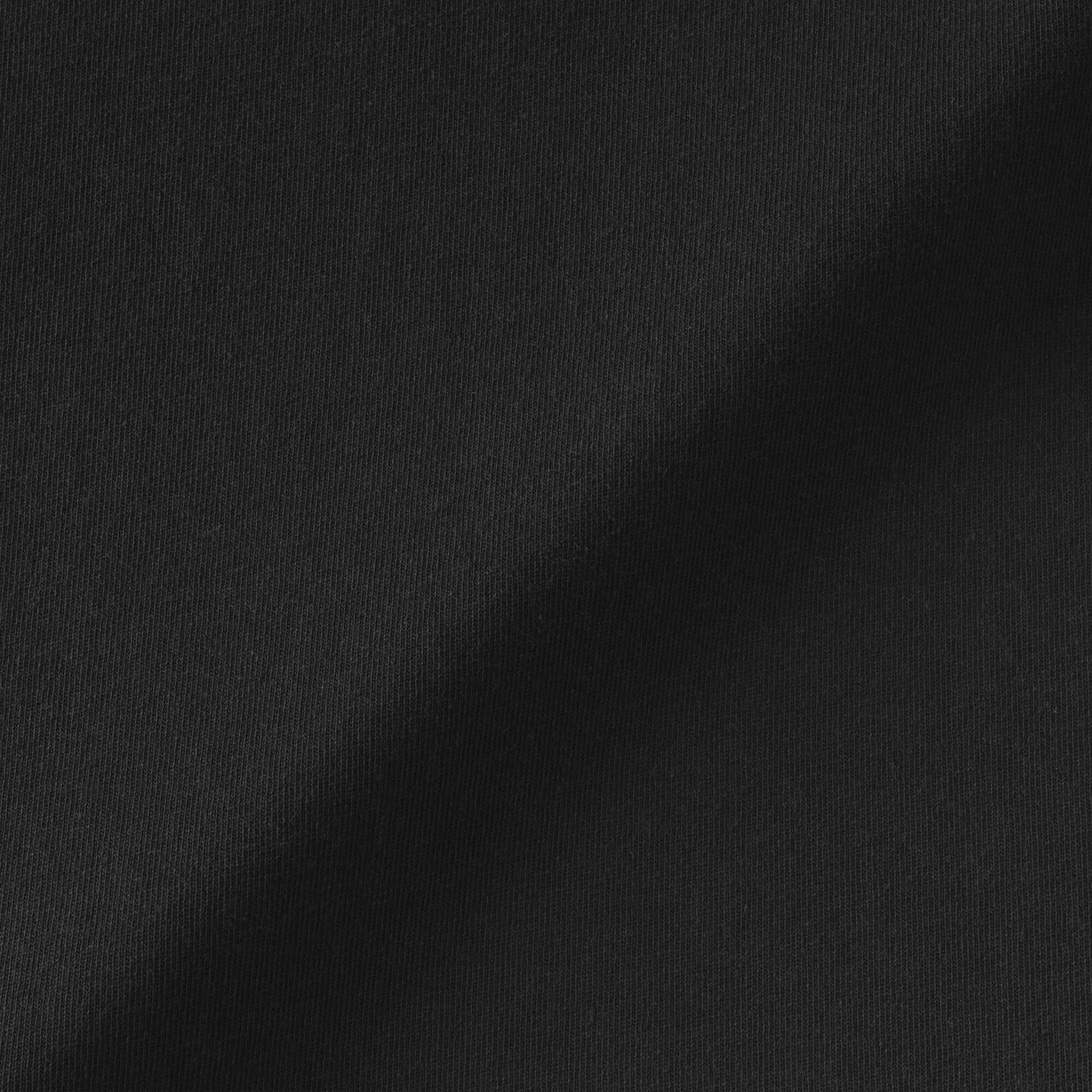 婦人　引き揃え天竺編みフレンチスリーブＴシャツ