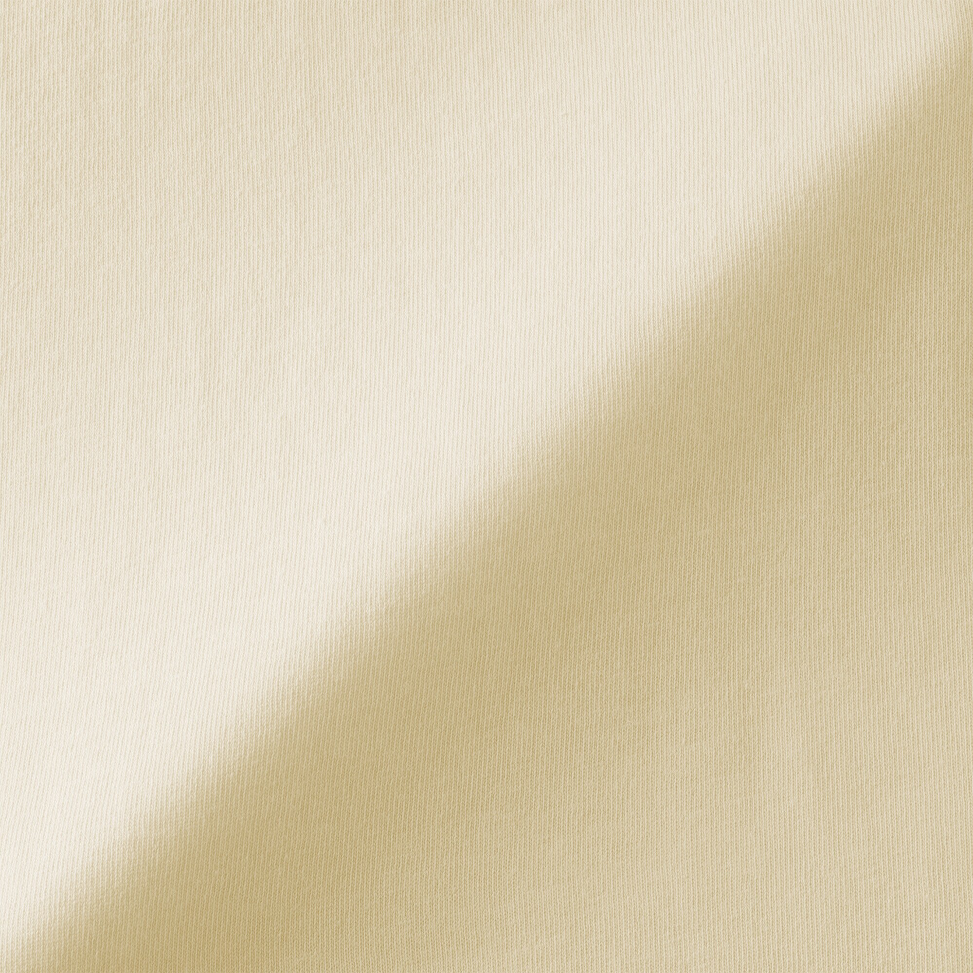 婦人　引き揃え天竺編みフレンチスリーブＴシャツ