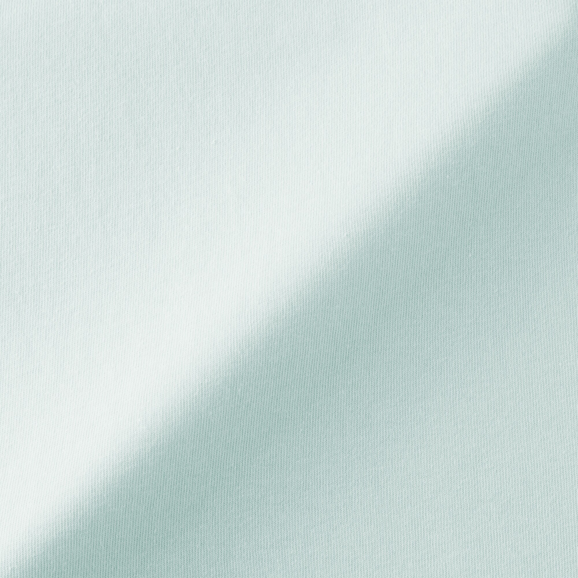 婦人　引き揃え天竺編みフレンチスリーブＴシャツ