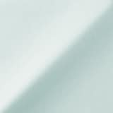 婦人　引き揃え天竺編みフレンチスリーブＴシャツ