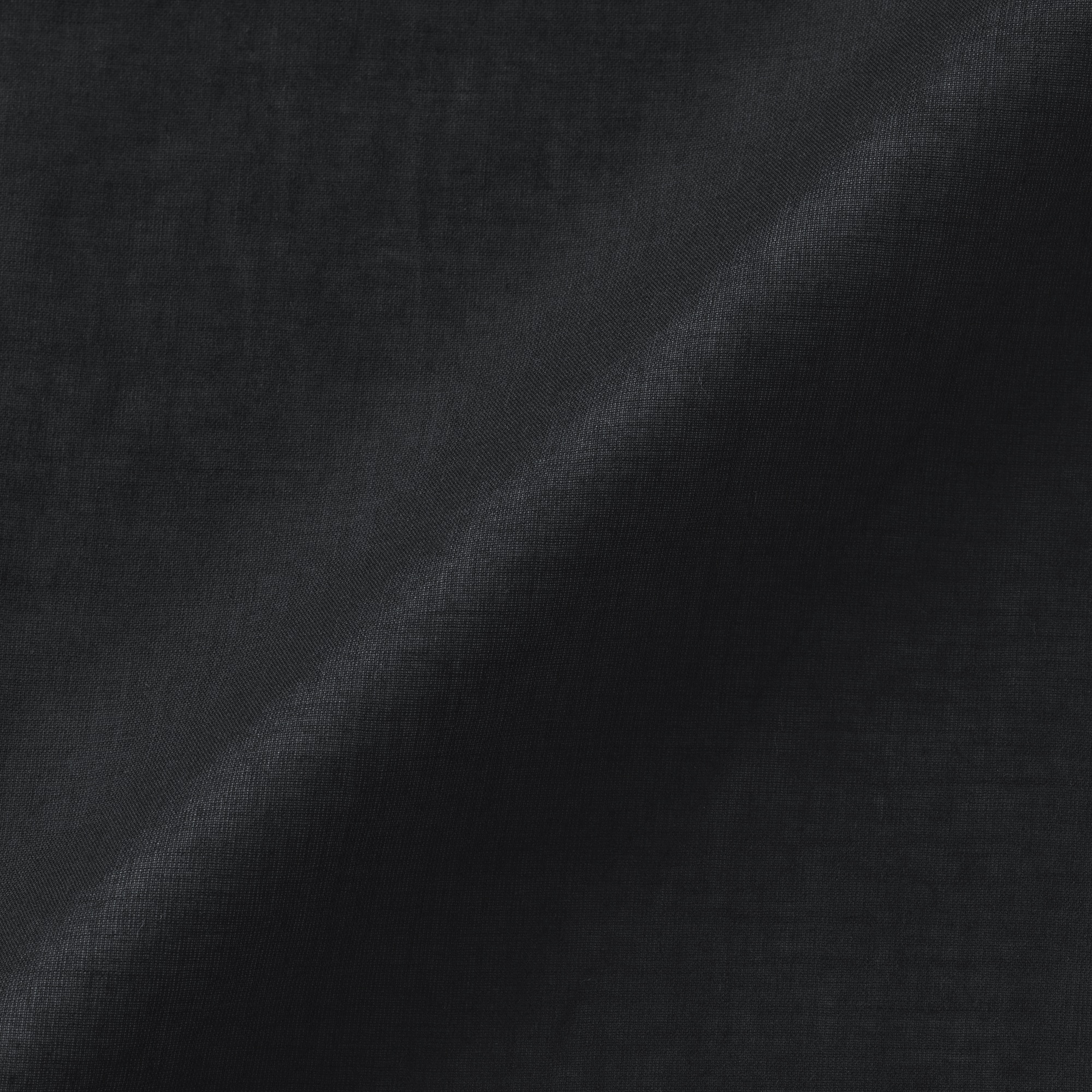 婦人　強撚　シアーフレンチスリーブブラウス