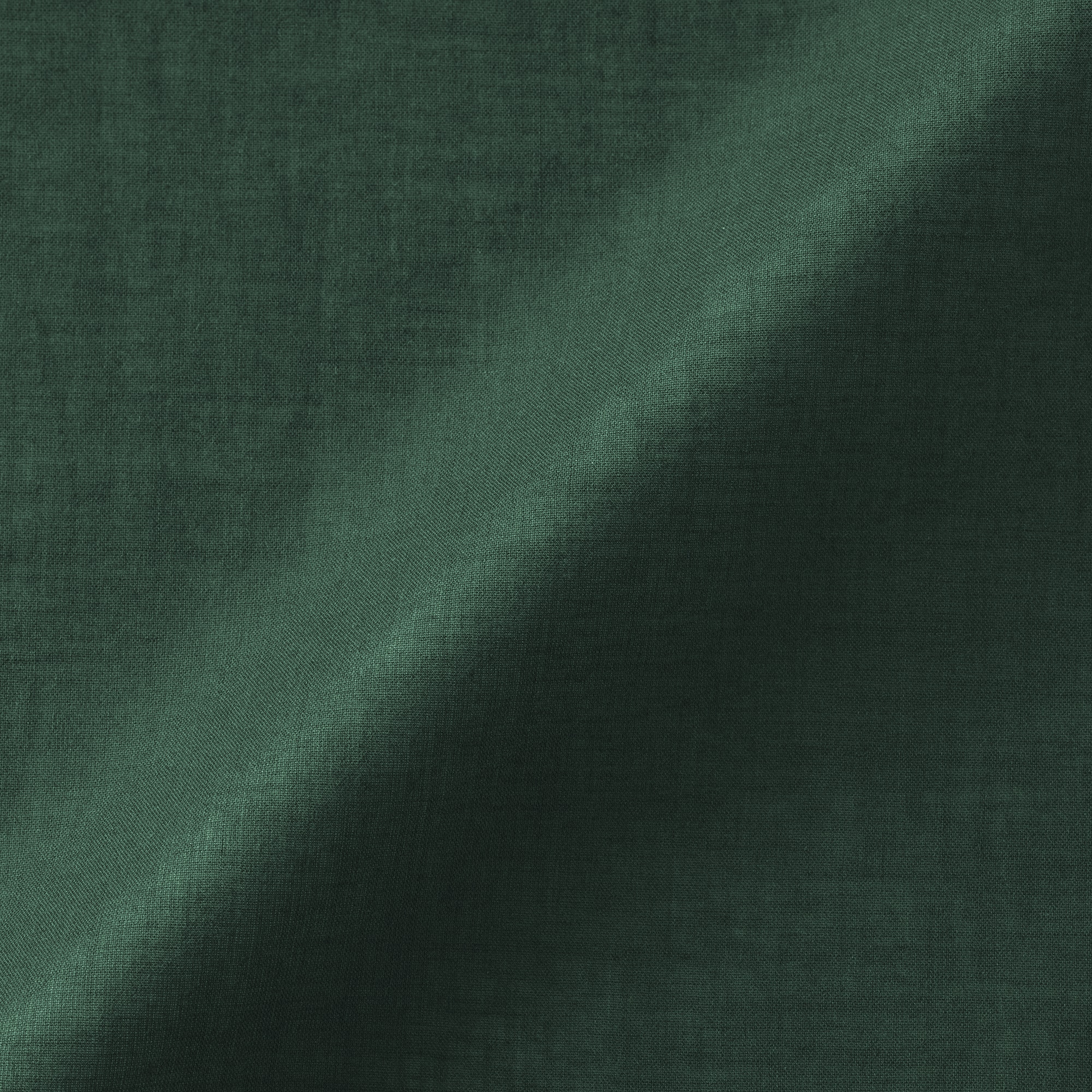 婦人　強撚　シアーフレンチスリーブブラウス