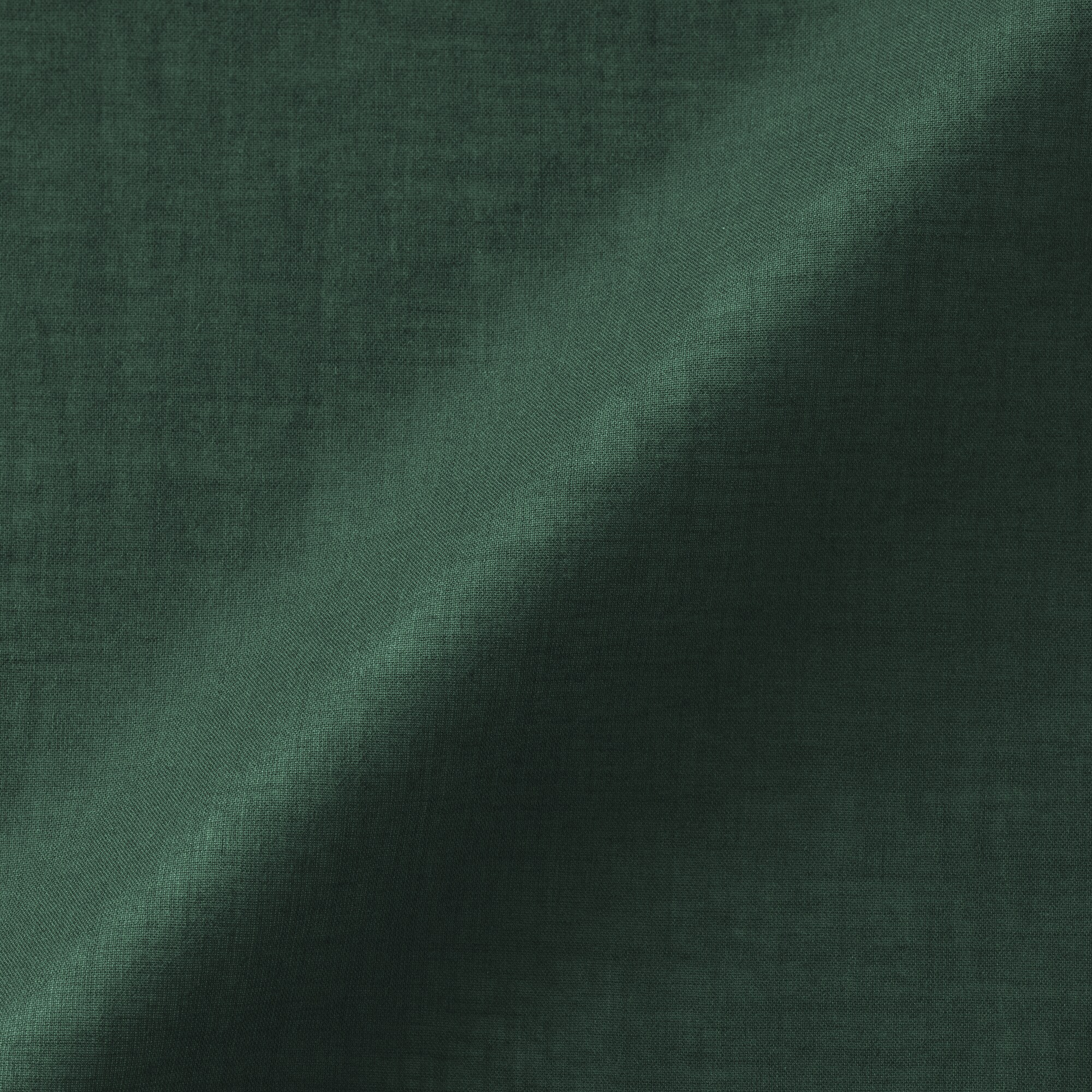 婦人　強撚　シアーフレンチスリーブブラウス