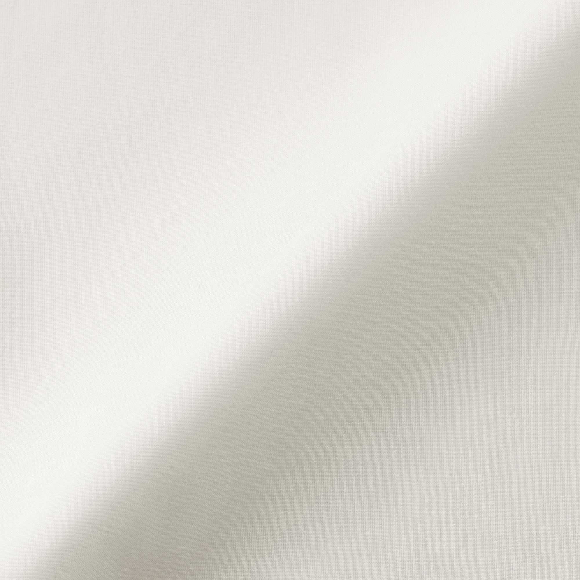 婦人　強撚　シアー半袖ブラウス