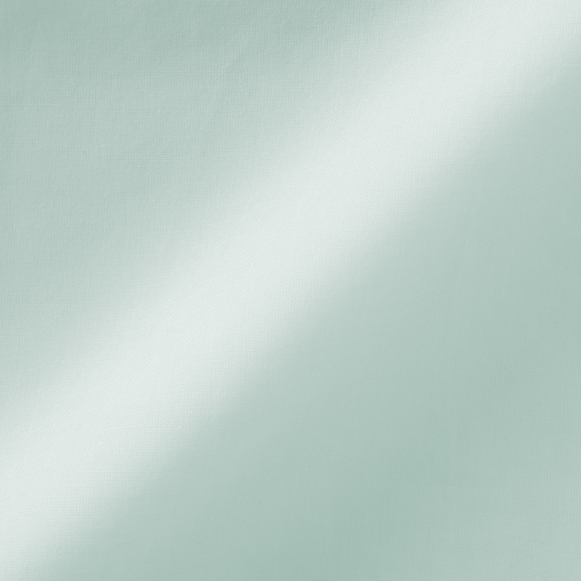 婦人　強撚　シアー長袖シャツ