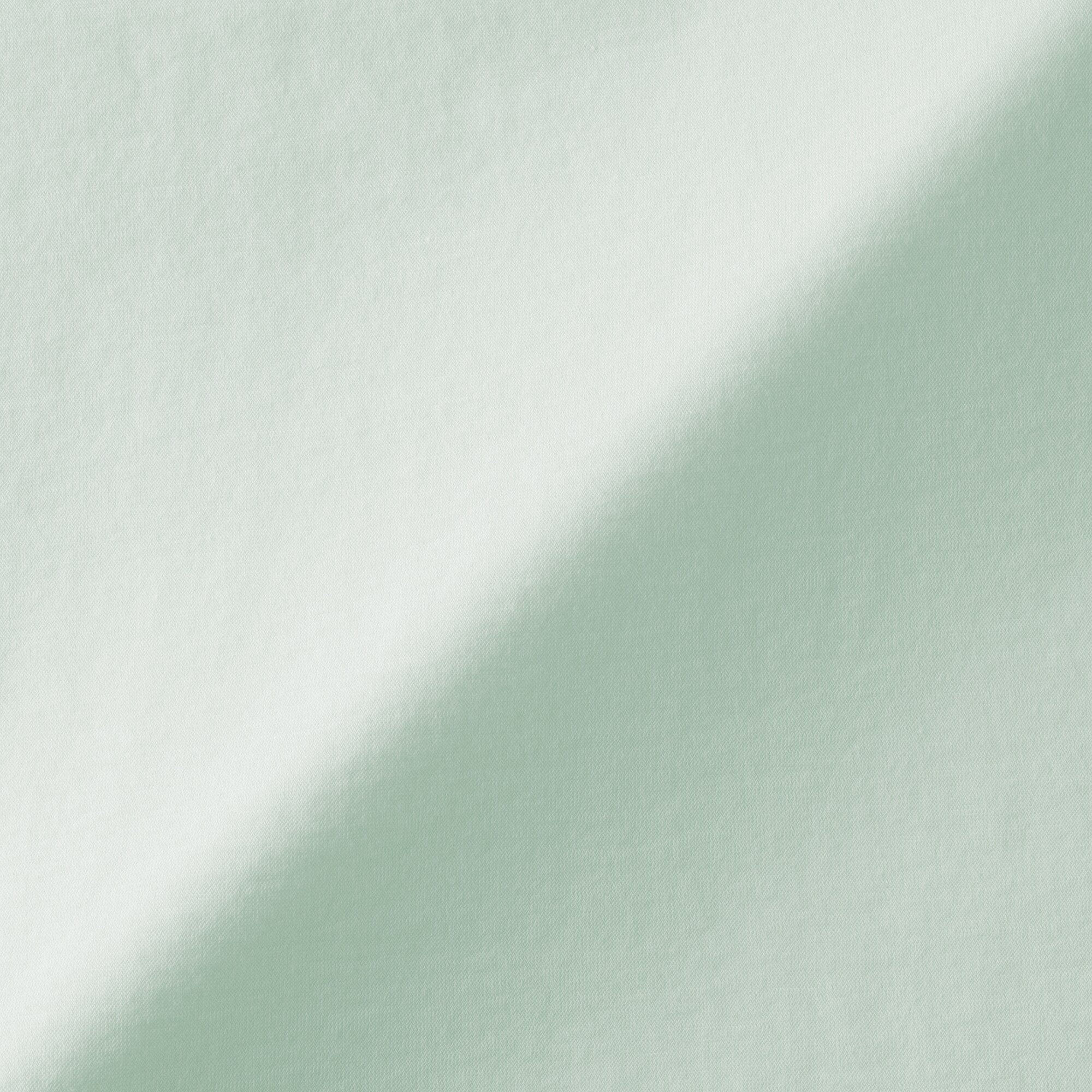 婦人　強撚天竺編みクルーネック長袖Ｔシャツ