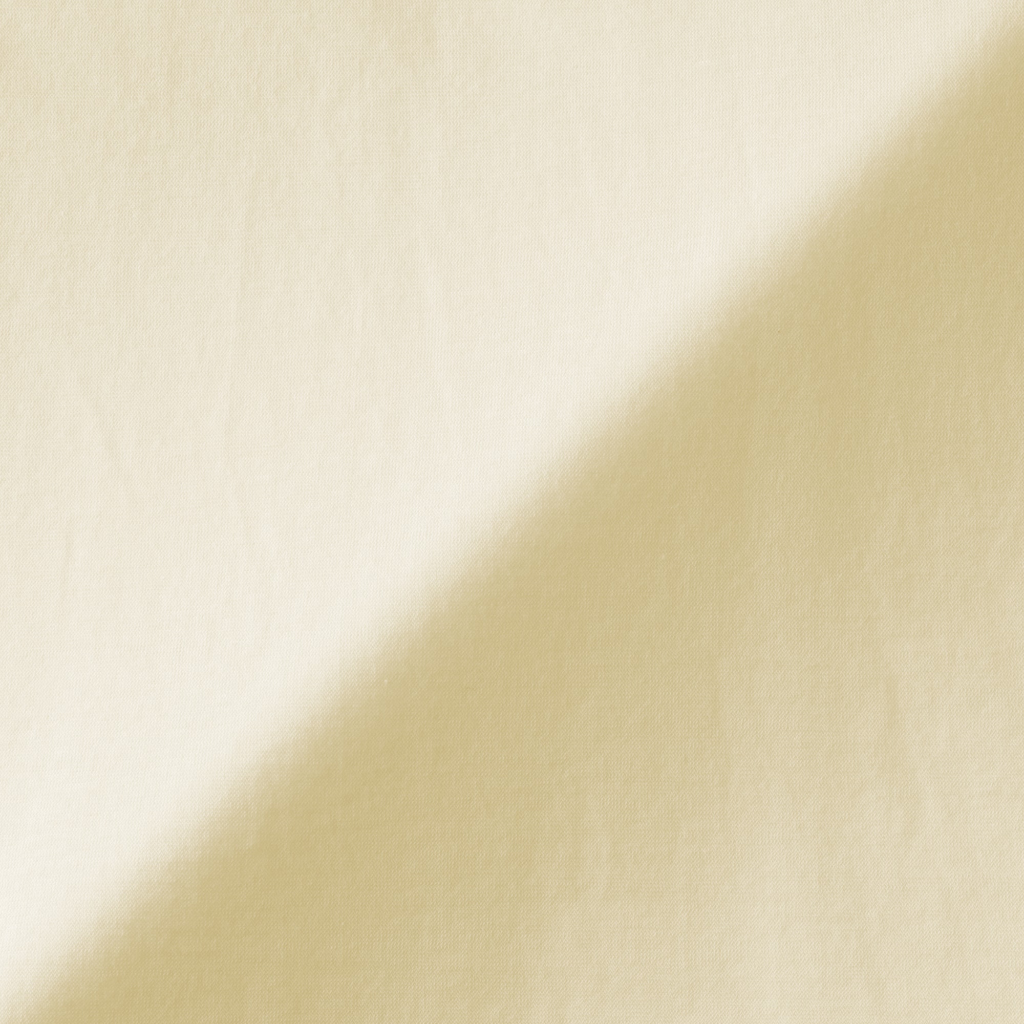 婦人　強撚天竺編みクルーネック長袖Ｔシャツ