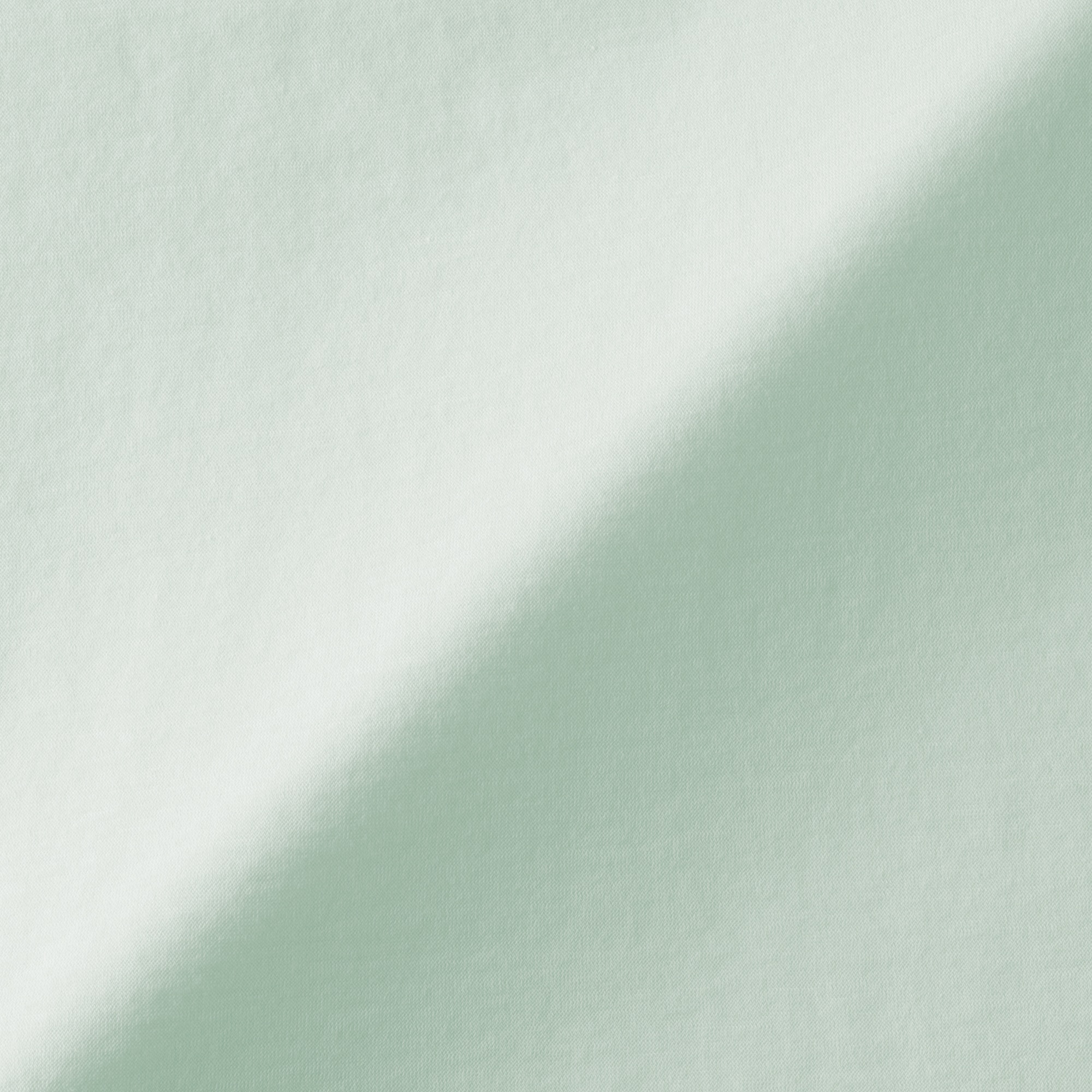 婦人　強撚天竺編みクルーネック長袖Ｔシャツ