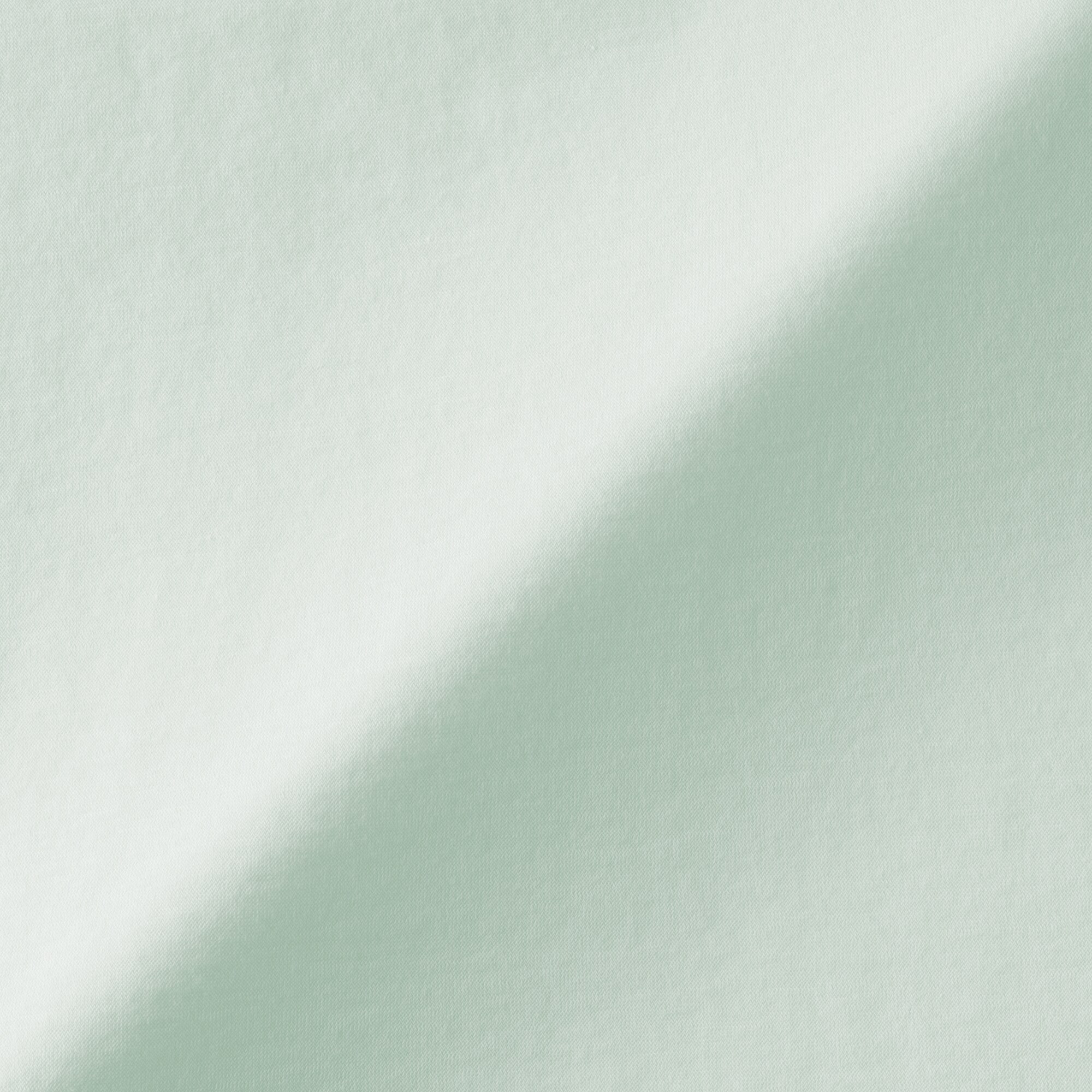 婦人　強撚天竺編みクルーネック半袖Ｔシャツ