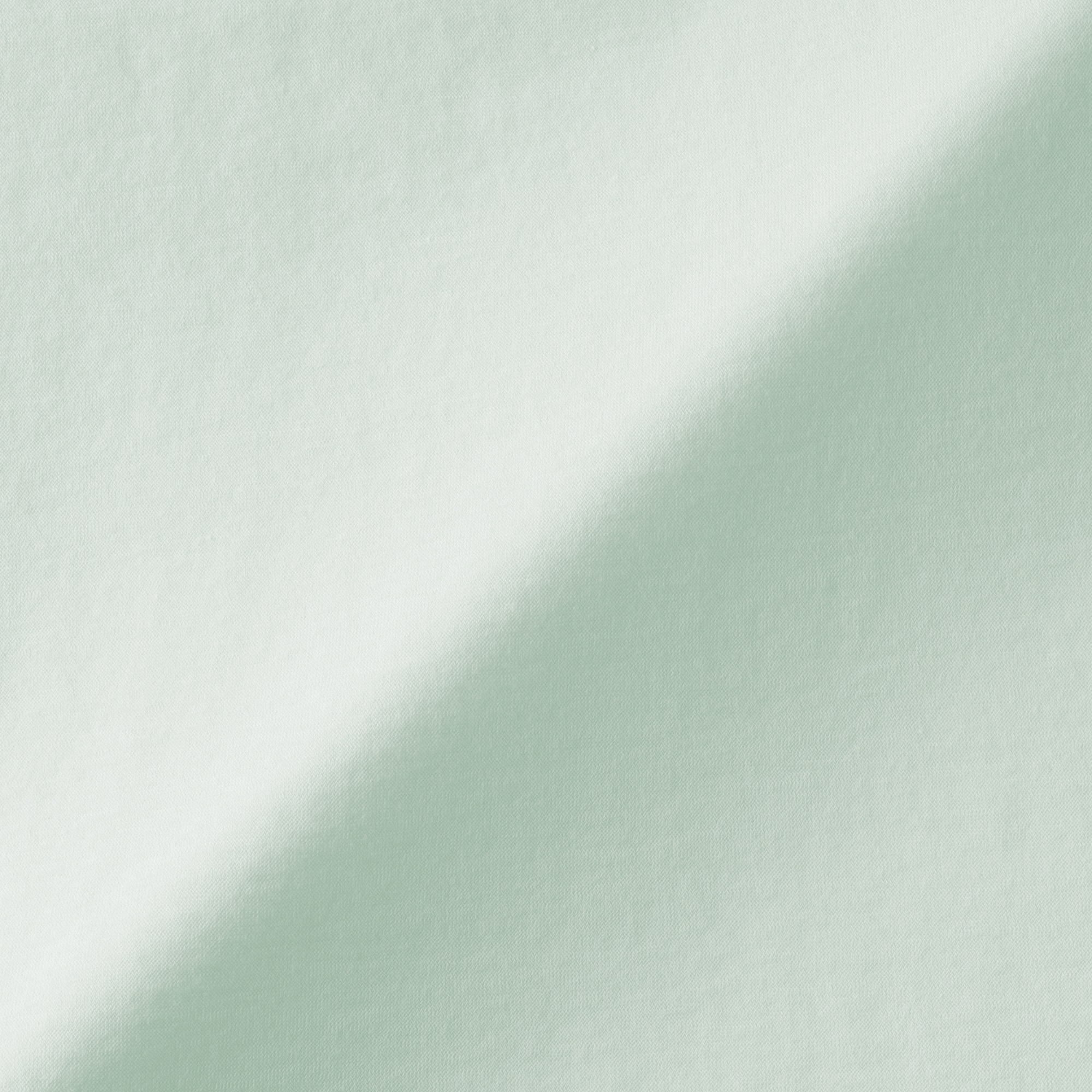 婦人　強撚天竺編みクルーネック半袖Ｔシャツ