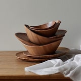 ［ＩＤＥＥ］ａｃｔｕｅｌ　ｂｏｉｓ　プレート　Ｌ