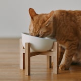 木製　ペット用フードボウルスタンド　小