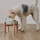 木製　ペット用フードボウルスタンド　大