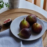 ［ＩＤＥＥ］ａｃｔｕｅｌ　ｓｏｌ　ラウンドプレート　ホワイト　Ｍ