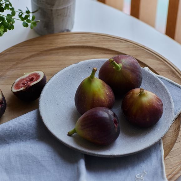 ［ＩＤＥＥ］ａｃｔｕｅｌ　ｓｏｌ　ラウンドプレート　ホワイト　Ｍ