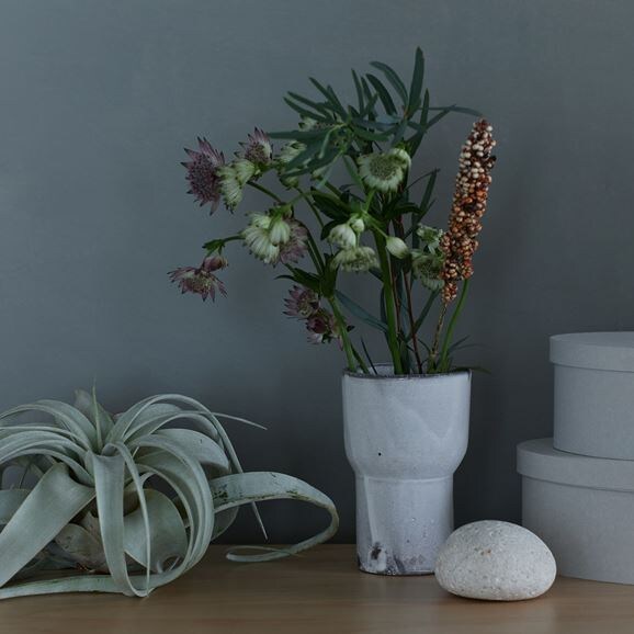 ［ＩＤＥＥ］ａｃｔｕｅｌ　ｓｏｌ　カップ　ホワイト