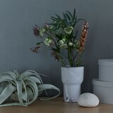 ［ＩＤＥＥ］ａｃｔｕｅｌ　ｓｏｌ　カップ　ブラック