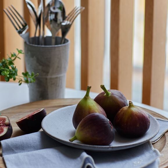 ［ＩＤＥＥ］ａｃｔｕｅｌ　ｓｏｌ　カップ　ブラック