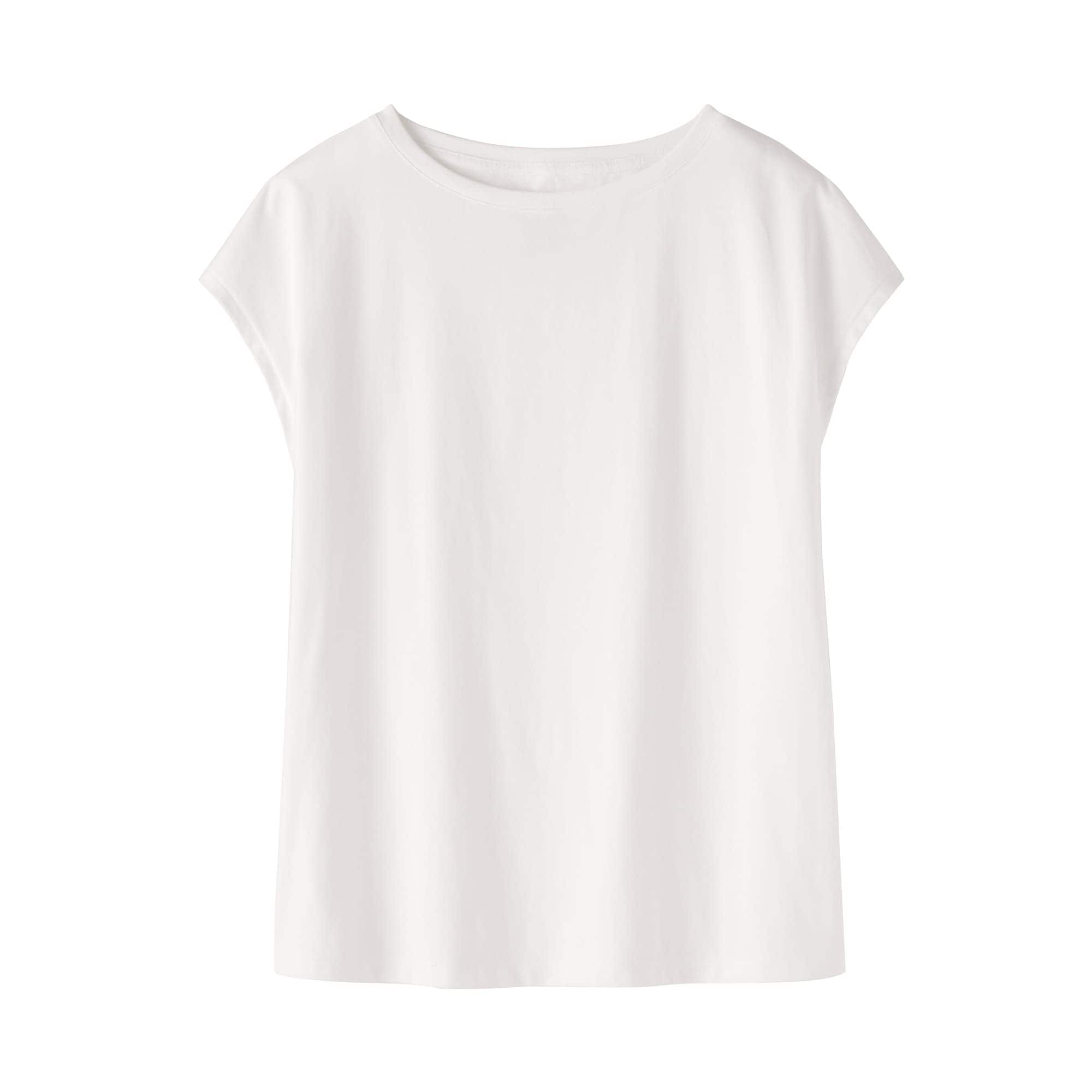 婦人　天竺編みフレンチスリーブＴシャツ