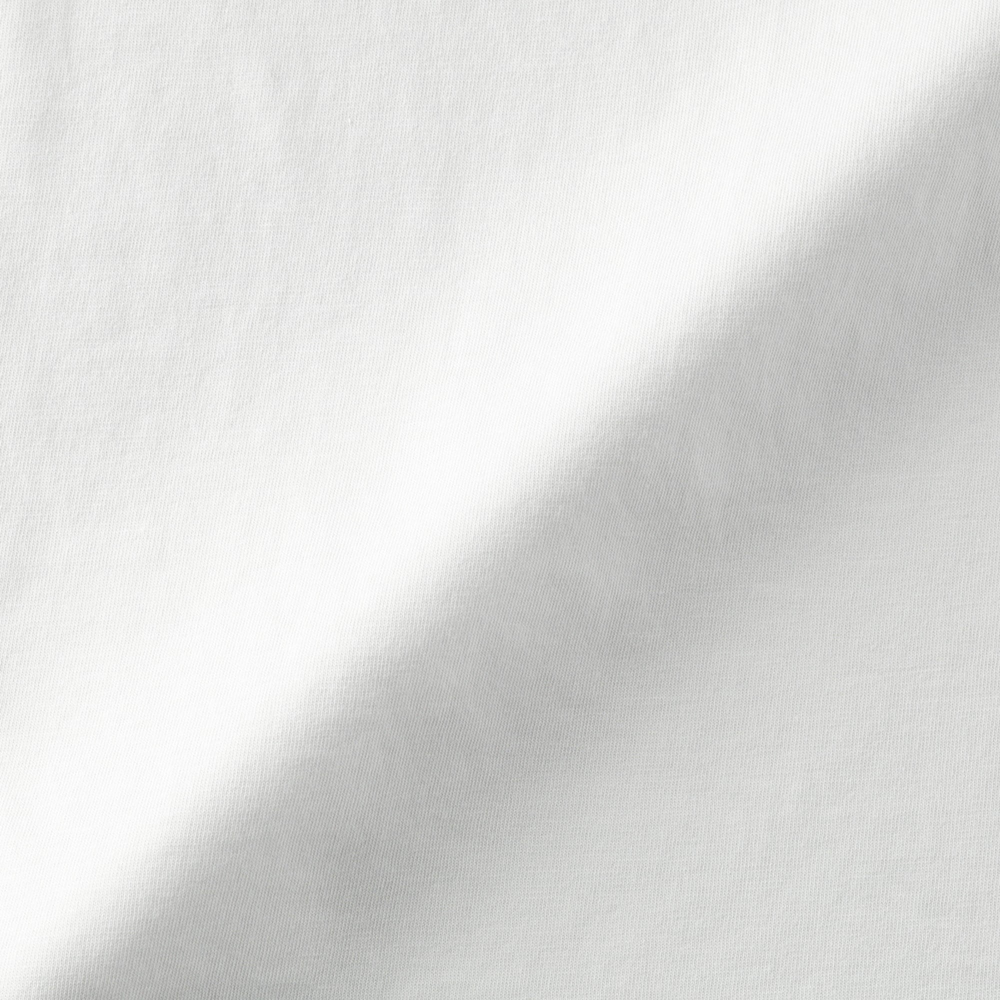 婦人　天竺編みフレンチスリーブＴシャツ