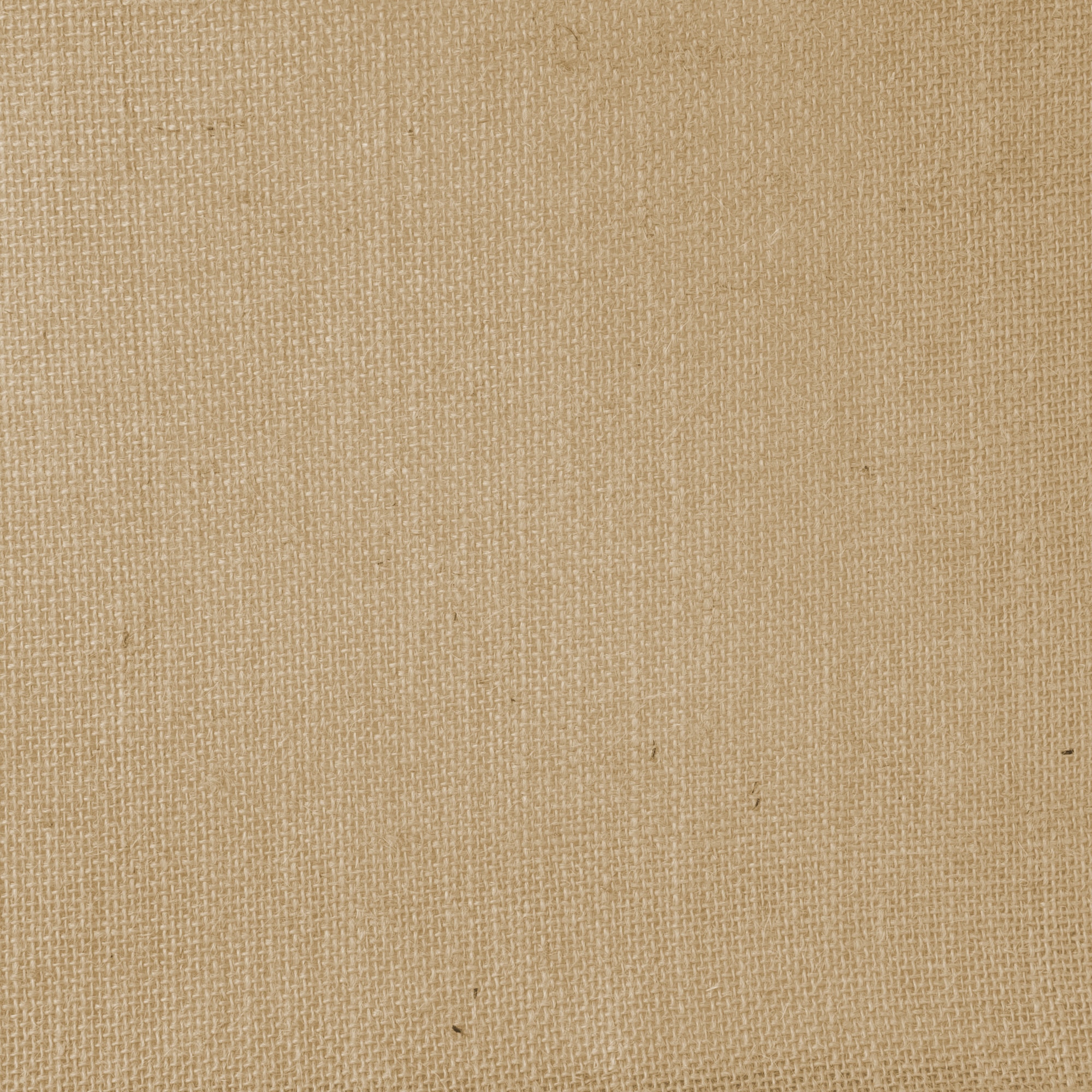 ジュート　マイバッグ（Ａ４）