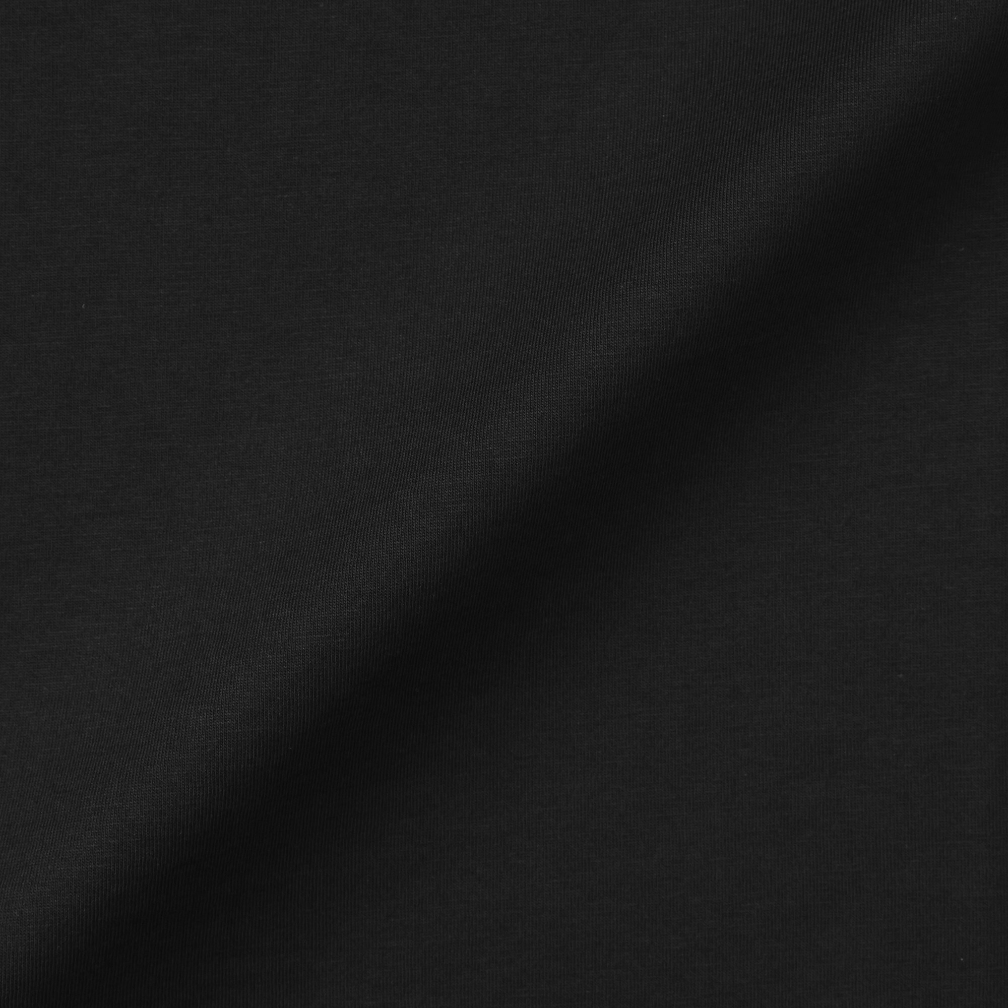 婦人　天竺編みクルーネック長袖Ｔシャツ