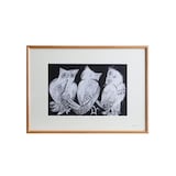 ［ＩＤＥＥ］ｃｏｒｉｃｃｉ　Ｌａｓｃａｕｘ　内緒話　Ａ３サイズ