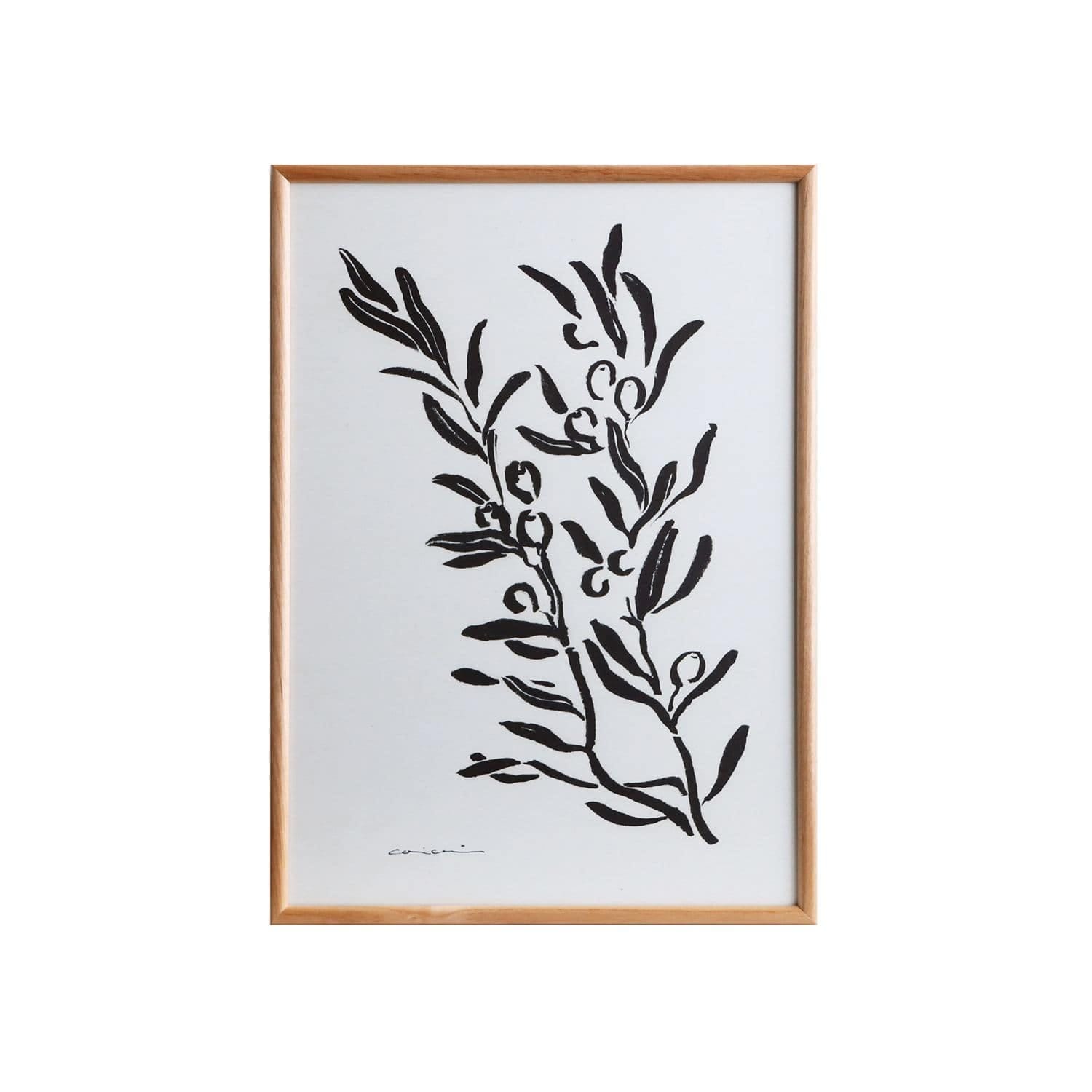 ［ＩＤＥＥ］ｃｏｒｉｃｃｉ　Ｇａｒｄｅｎ　Ｏｌｉｖｅ　Ａ３サイズ