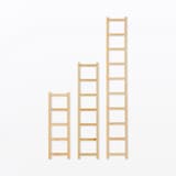 パイン材ユニットシェルフ奥行２５ｃｍタイプ・帆立・中