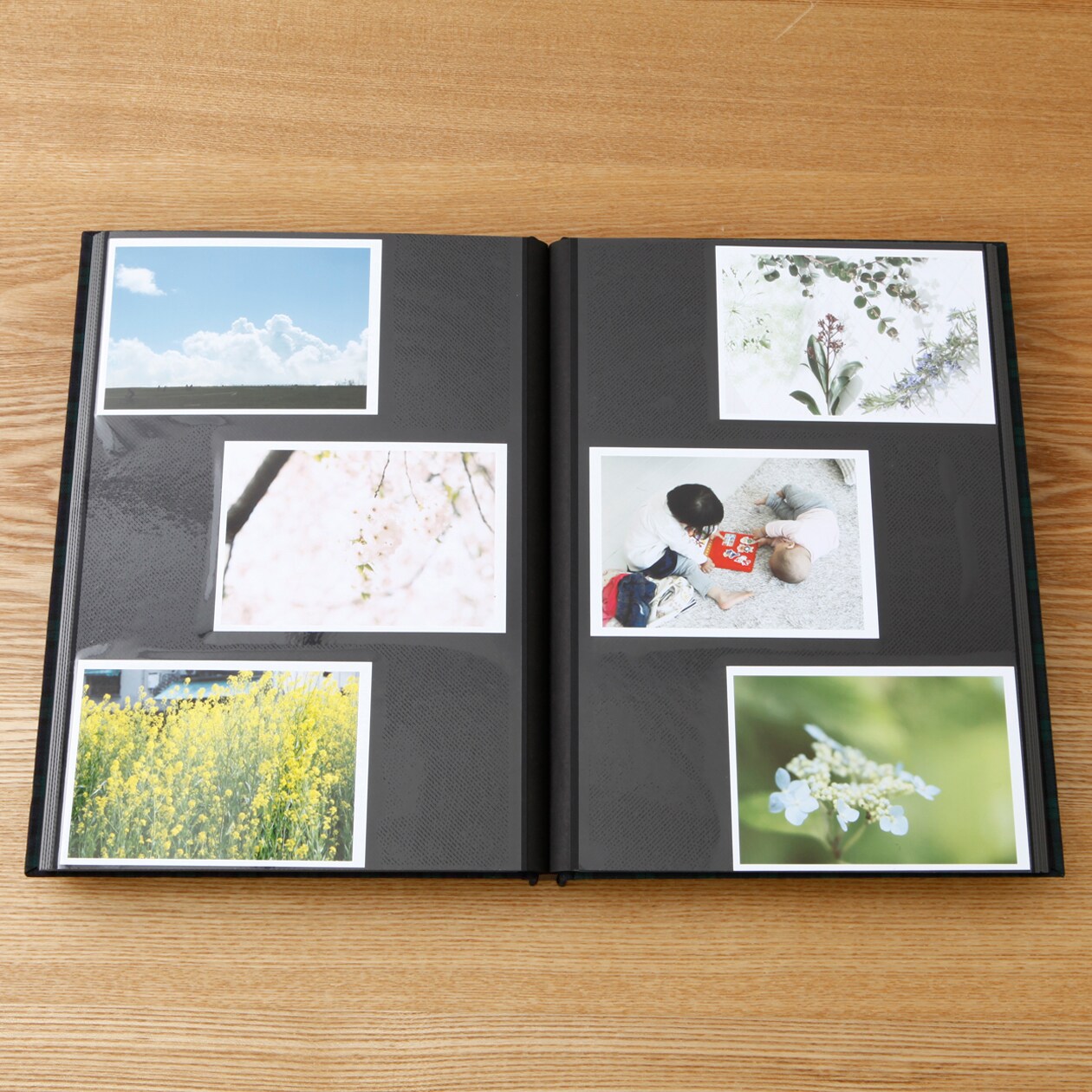 綿増やせる　フリー台紙アルバム