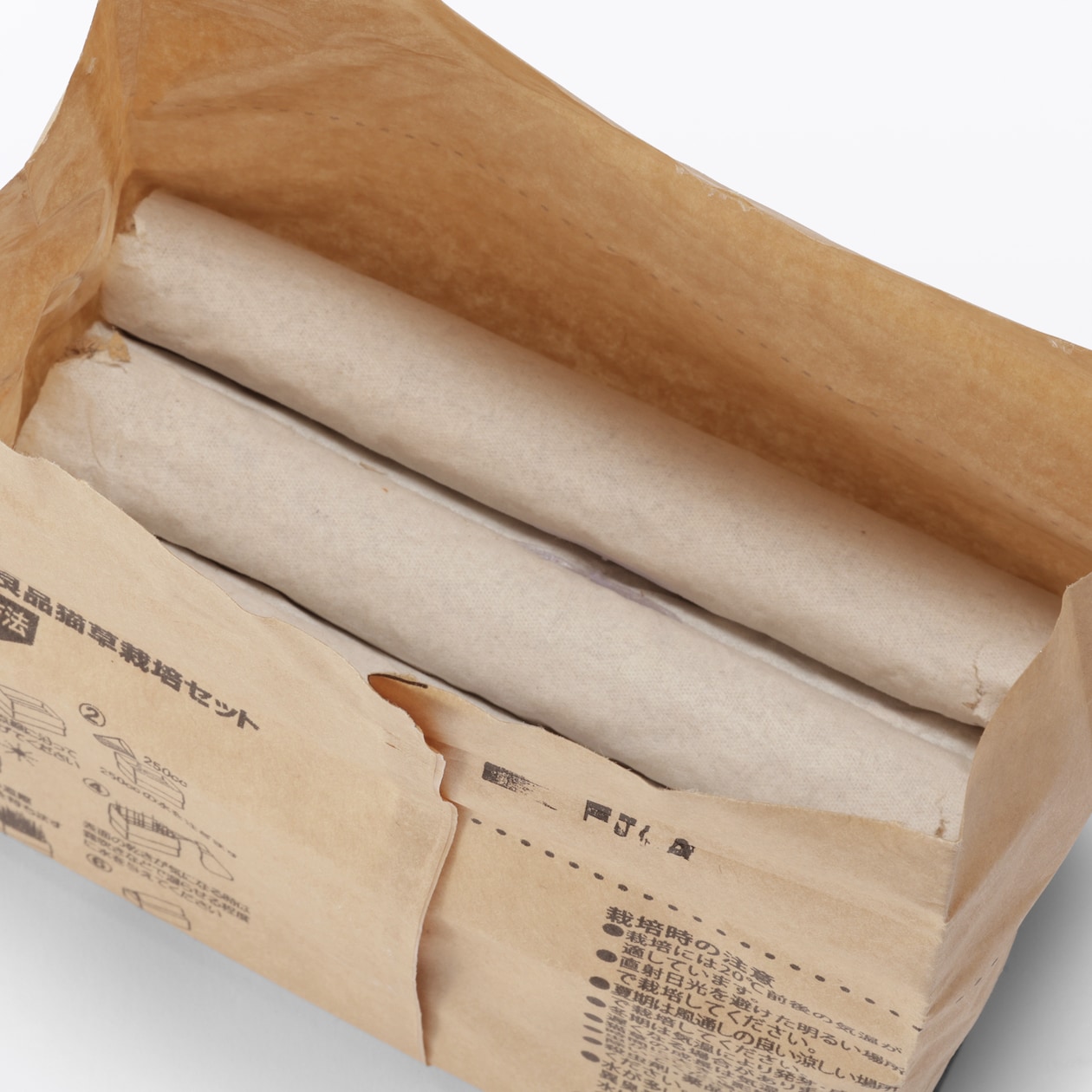 土を使っていない　猫草栽培セット