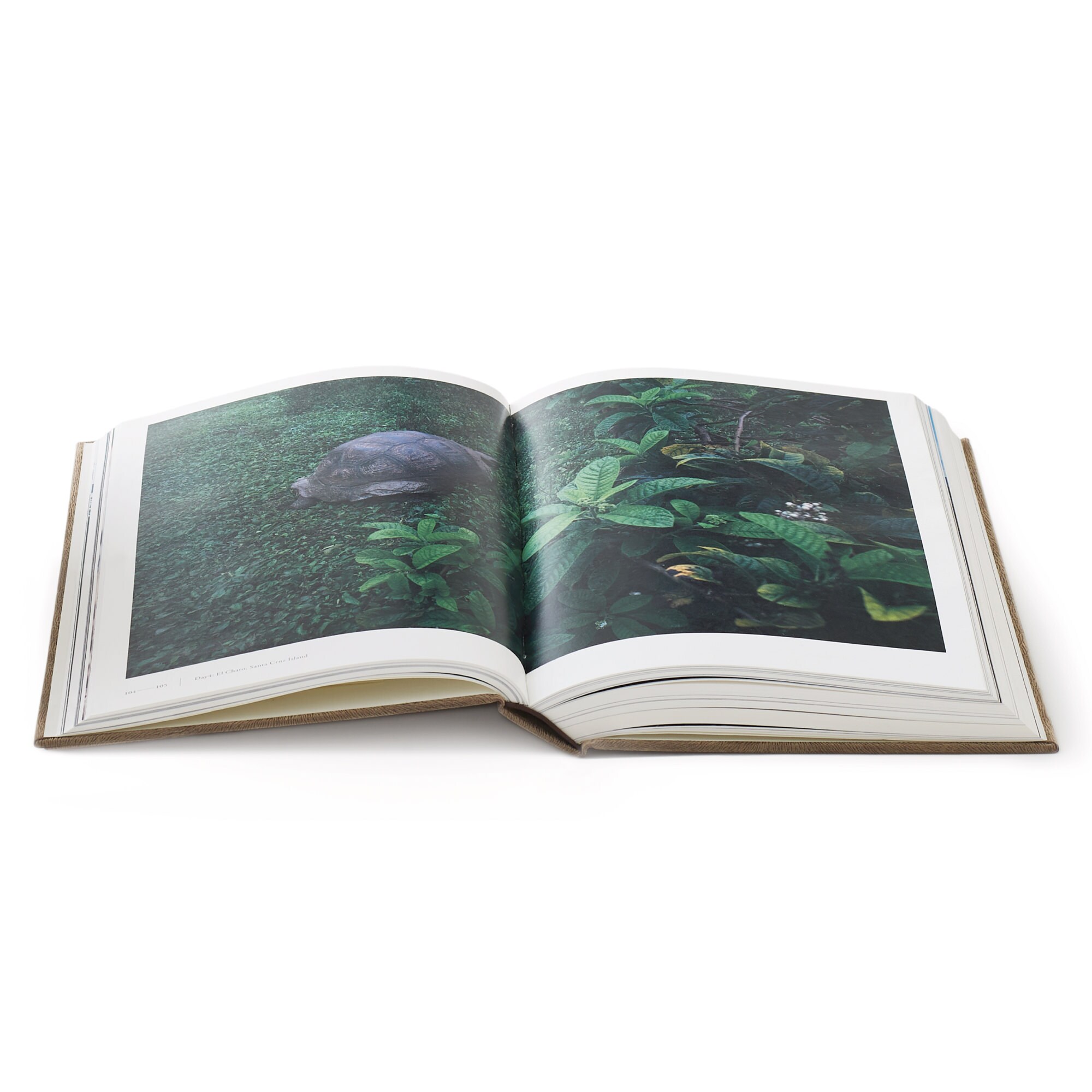 GALAPAGOS | 無印良品