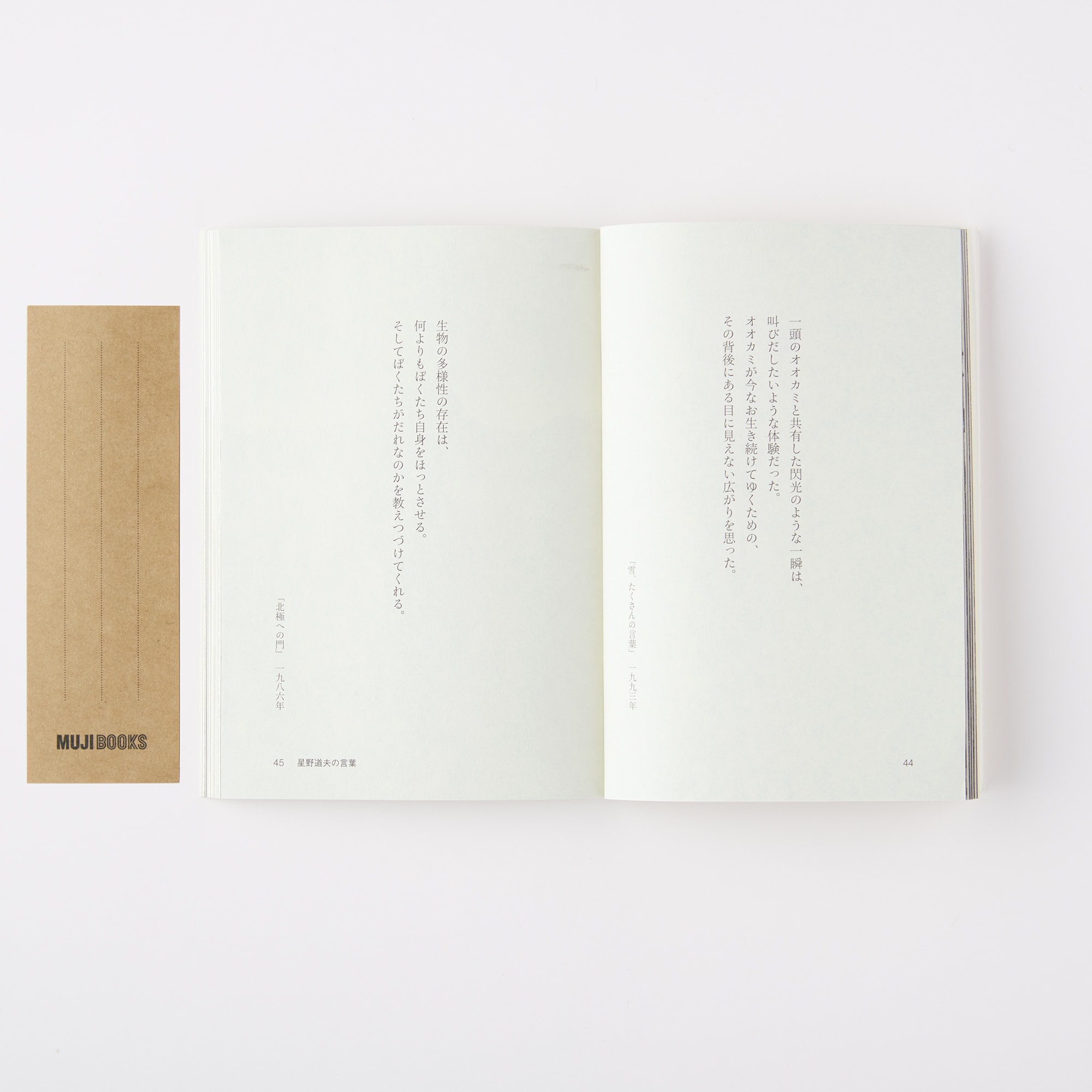 人と物１５　星野道夫