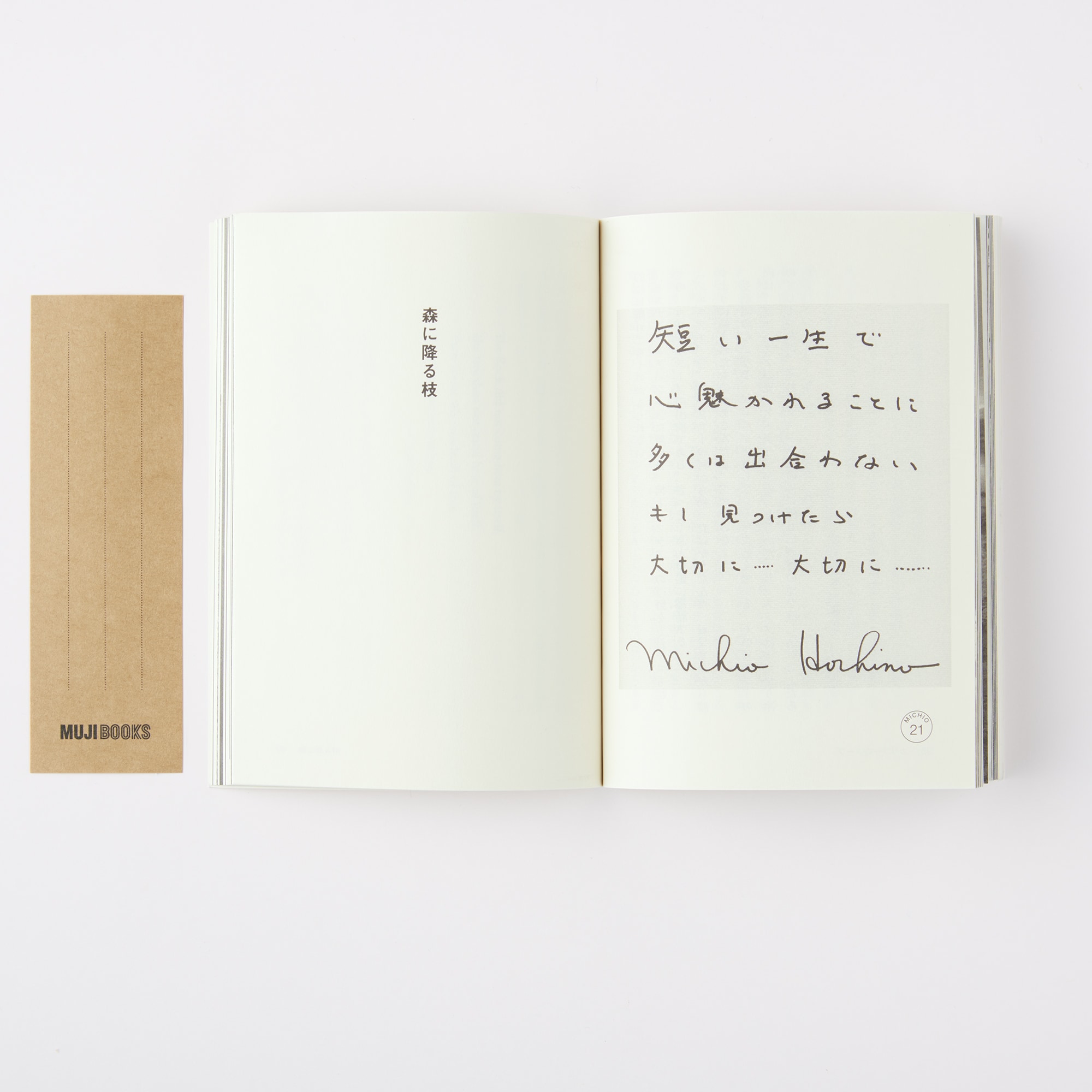 人と物１５　星野道夫