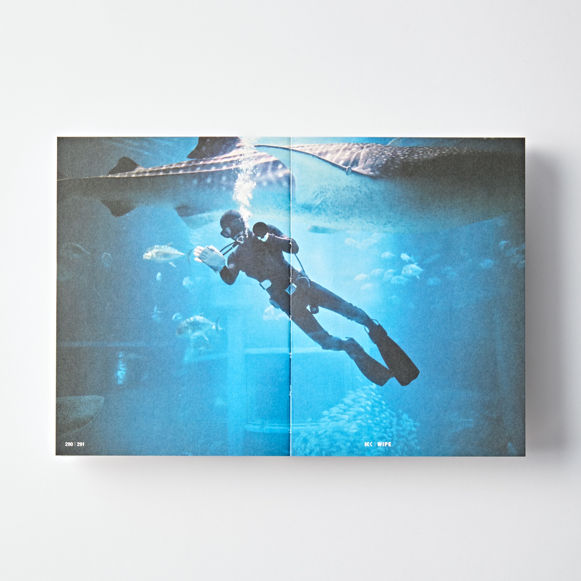 掃除　ＣＬＥＡＮＩＮＧ