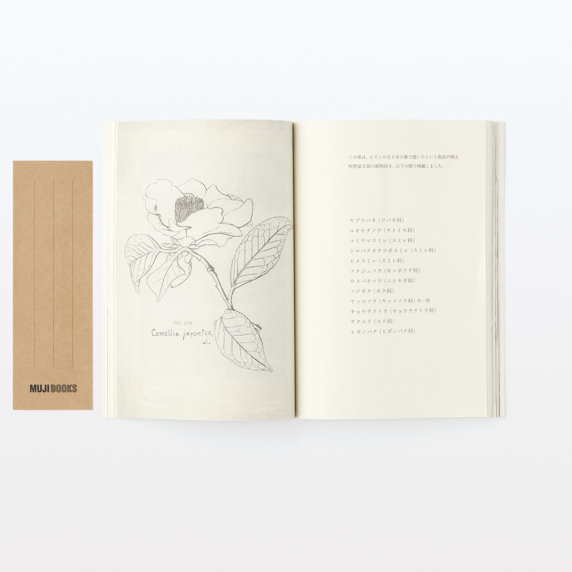 人と物１６　牧野富太郎