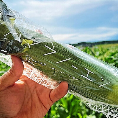 自分たちが体感した感動をみんなにもお裾分けしたい。【ハマラノーエン】の「八ヶ岳生とうもろこし」