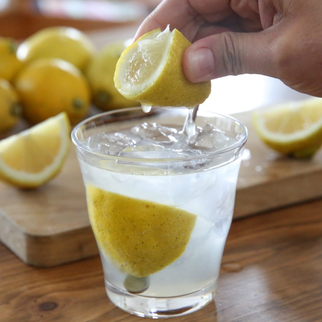 レモンの味と香りを楽しむ 冬の手しごと