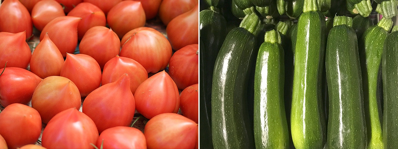 記事内画像：003人も野菜ものびのびと。やさしさが詰まった【れぎゅーむれぎゅーむ】の野菜づくり
