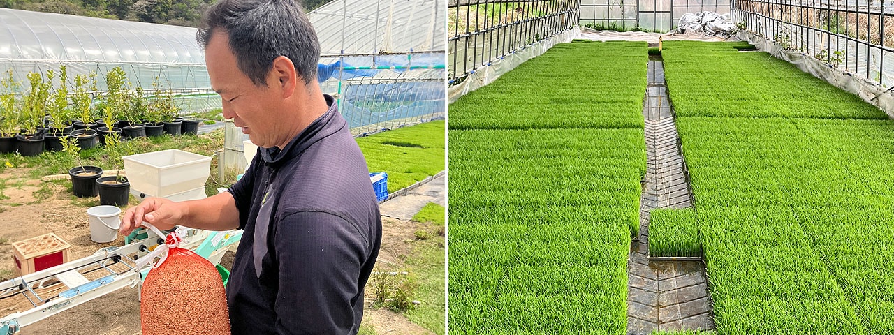 記事内画像：001鴨川地域の生産者と協業した地域産品「プリンセスサリー」【プリンセスサリー栽培の会】