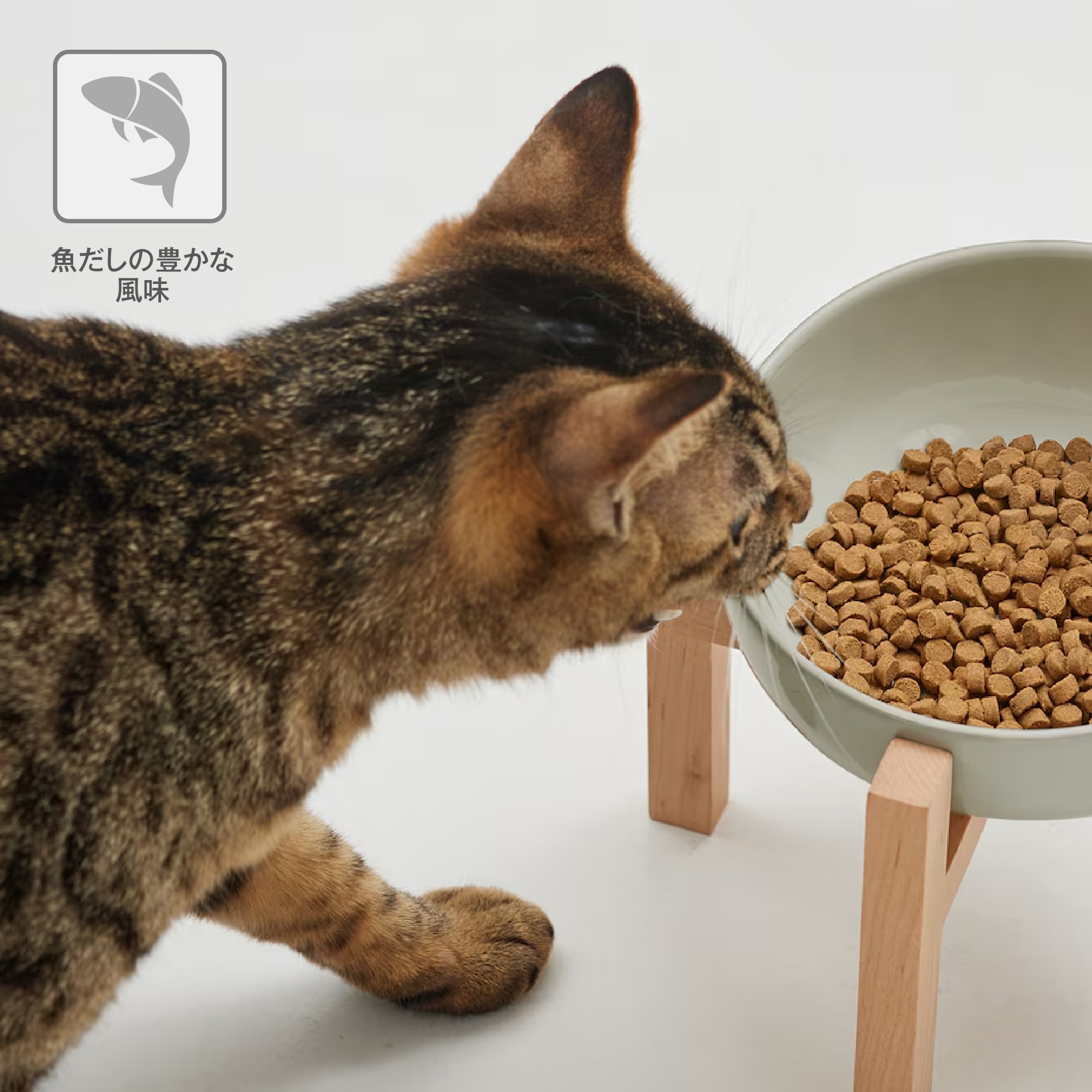 魚だしの豊かな風味