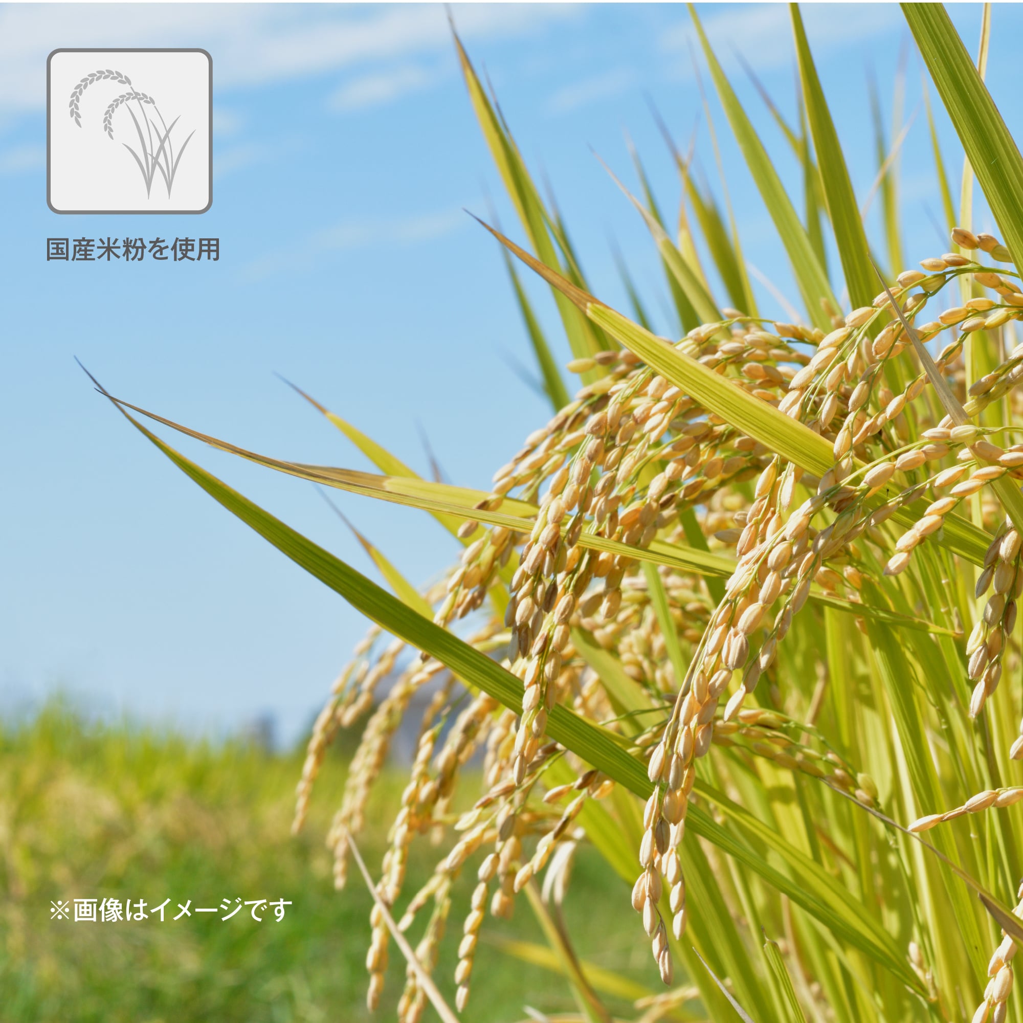 国産米粉を使用