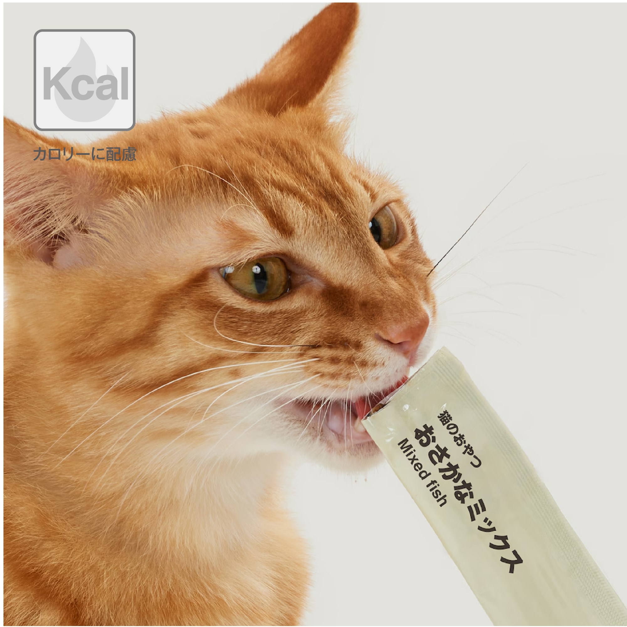 カロリーに配慮