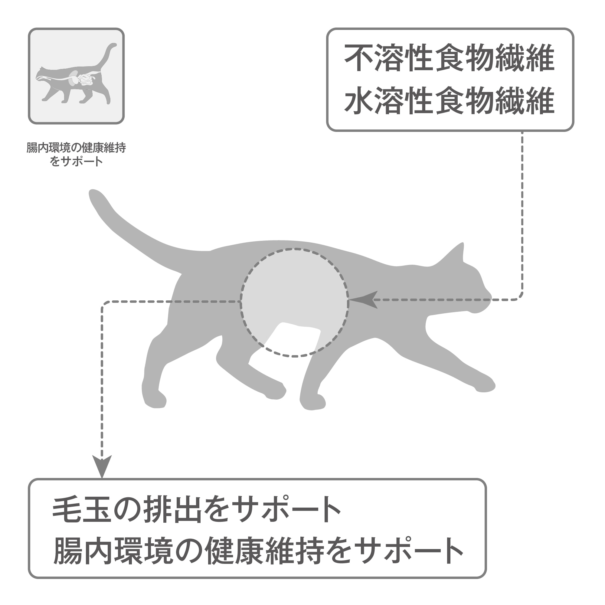 腸内環境の健康維持をサポート