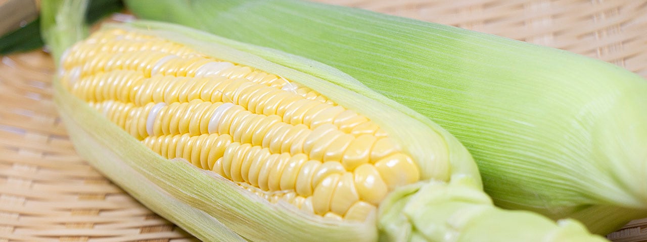 記事内画像：002 畑から食卓へおいしいを届けるため【Kappy&farm】