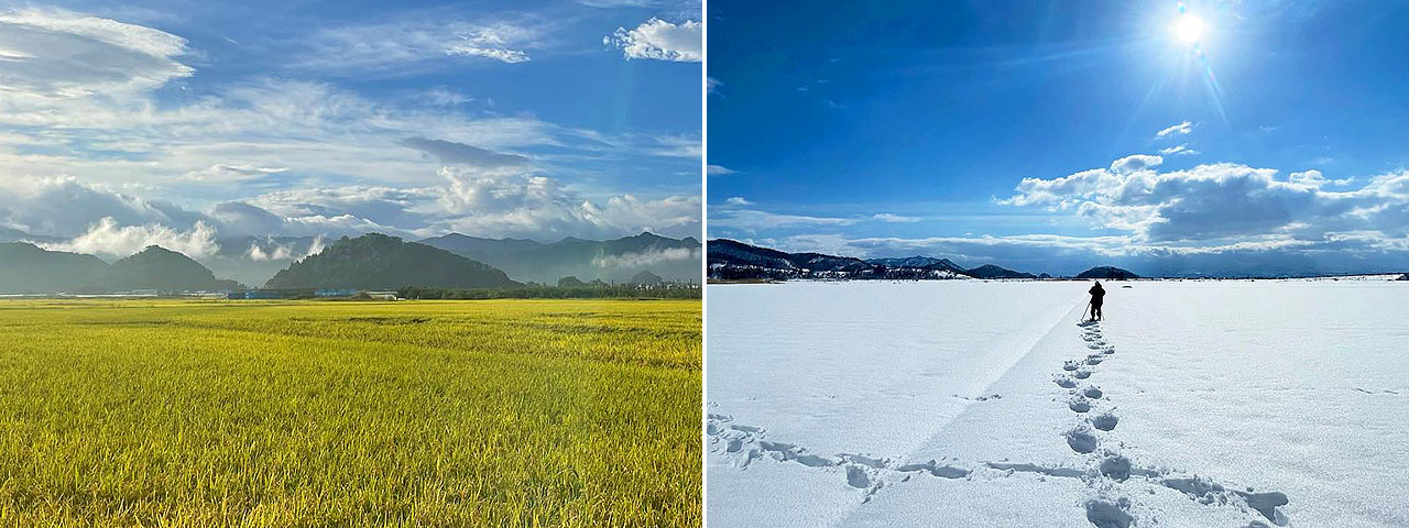 記事内画像：001 百姓という生き方に誇りを持って。山形県南陽市【百姓ワタナベ】のつくるさくらんぼ、プラム
